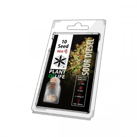 PACK DE 10 SOUR DIESEL - REGULAR
